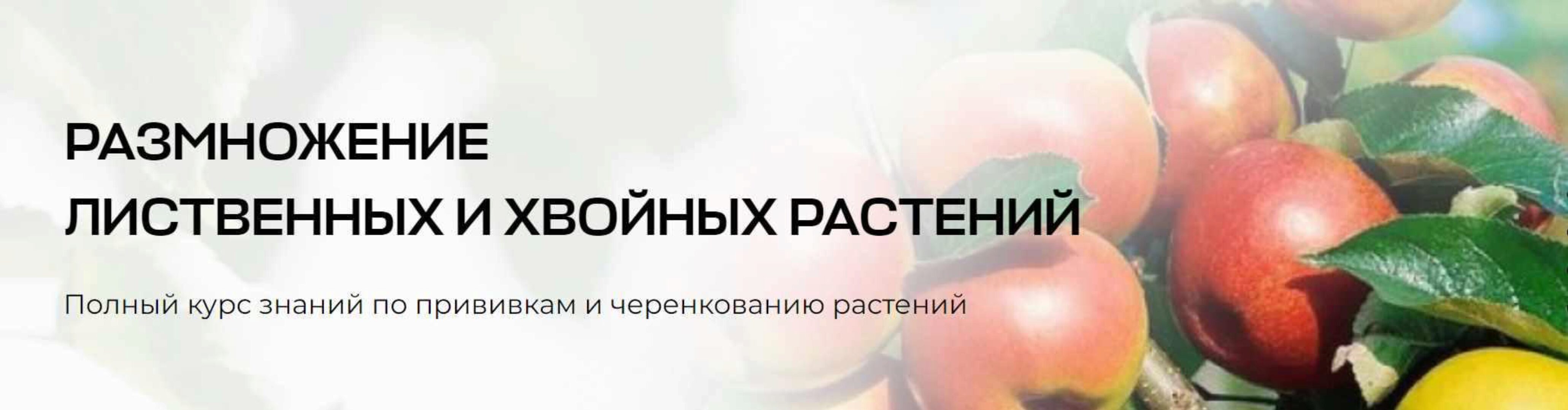 [Умный садовник] Размножение лиственных и хвойных растений (Владимир Задоркин)