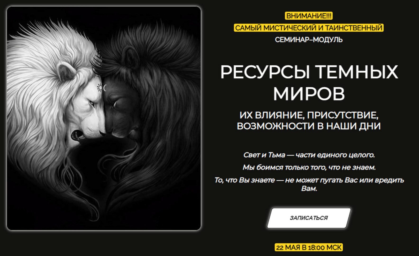 Ресурсы темных миров (Эмилия Франк)