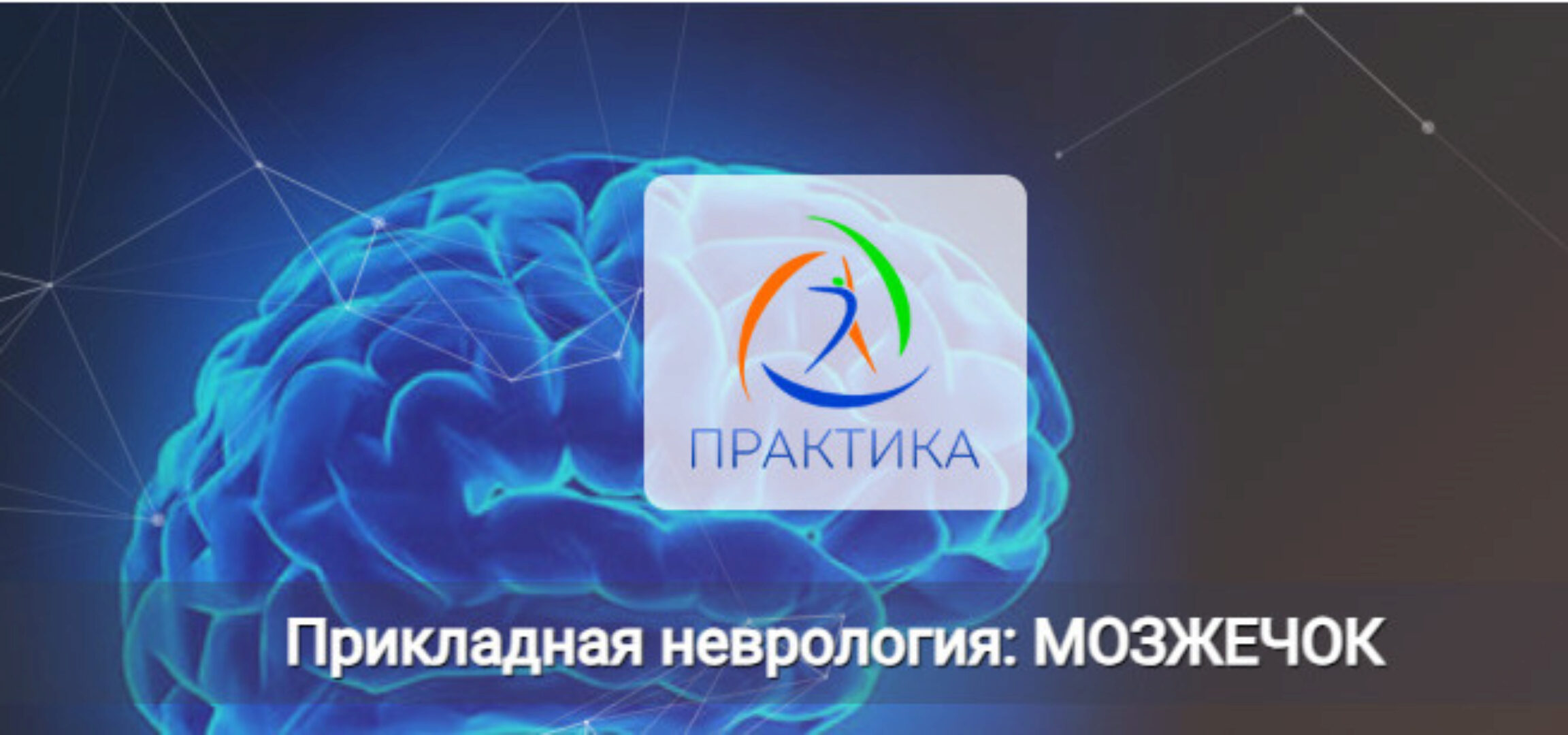 [Практика] Прикладная неврология: Мозжечок (Мария Недре)