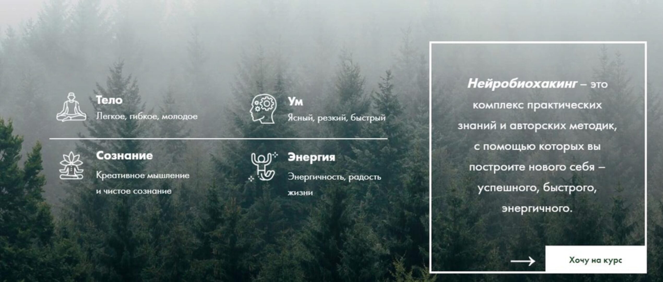 Нейробиохакинг (Ян-Спартак Поединков)