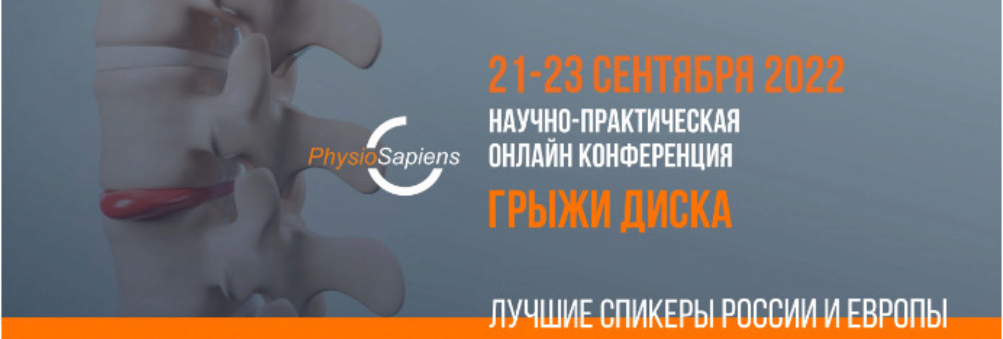 Онлайн — конференция «Грыжи Диска» (Георгий Темичев, Дмитрий Горковский)