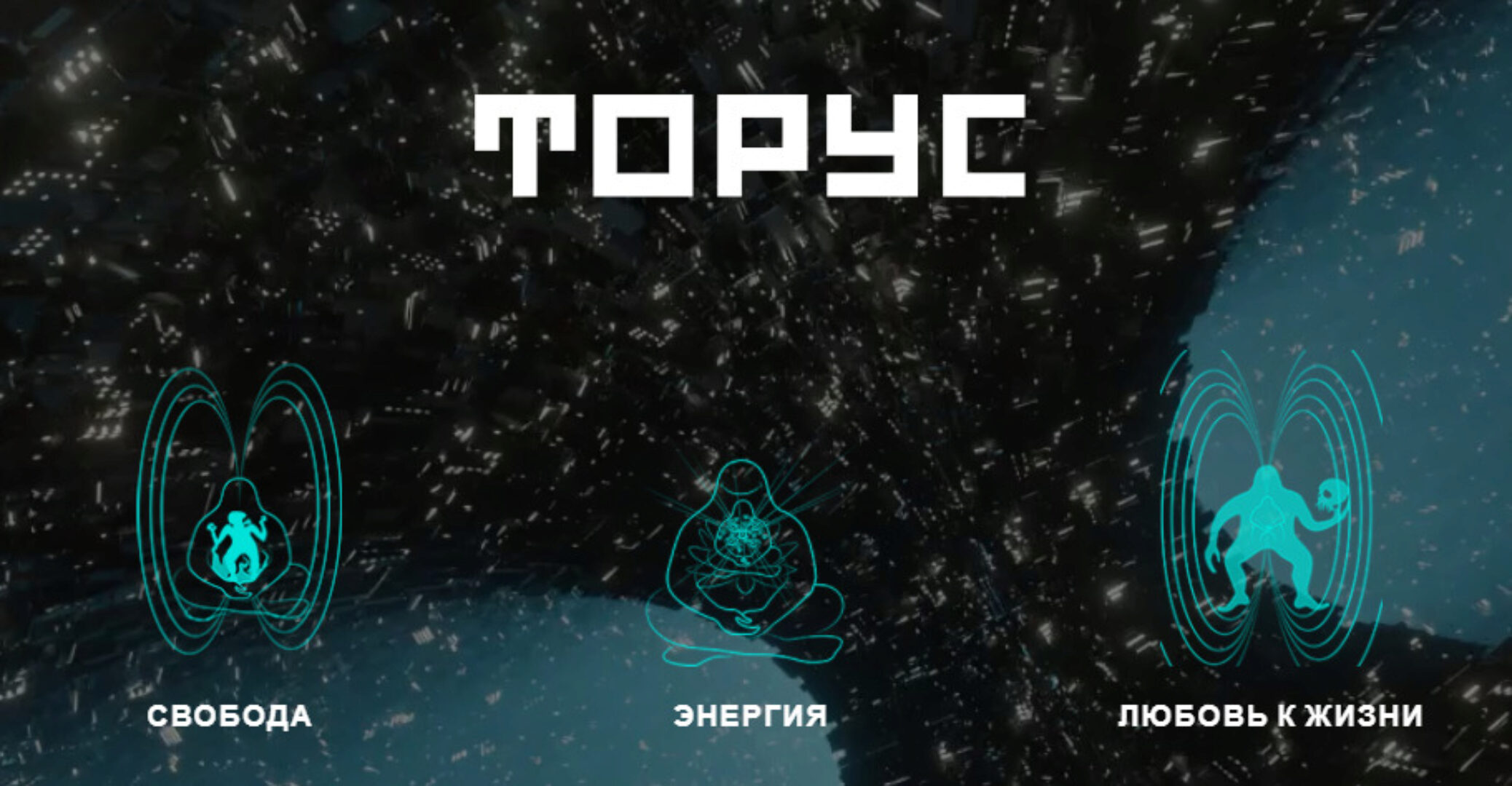 Онлайн-курс Торус. Тариф Medium (Вадим Демчог)