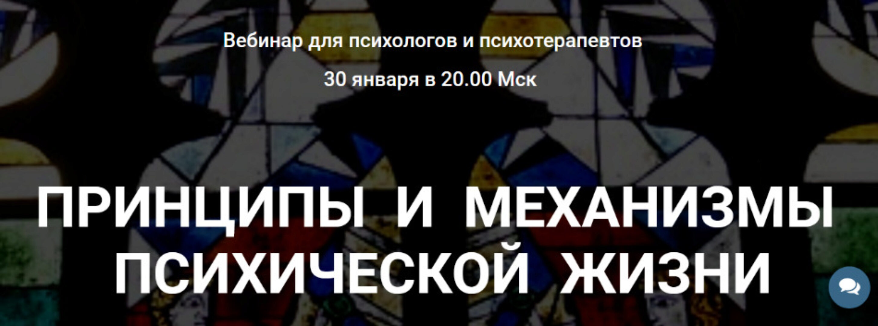 Принципы и механизмы психической жизни (Надежда Майн)