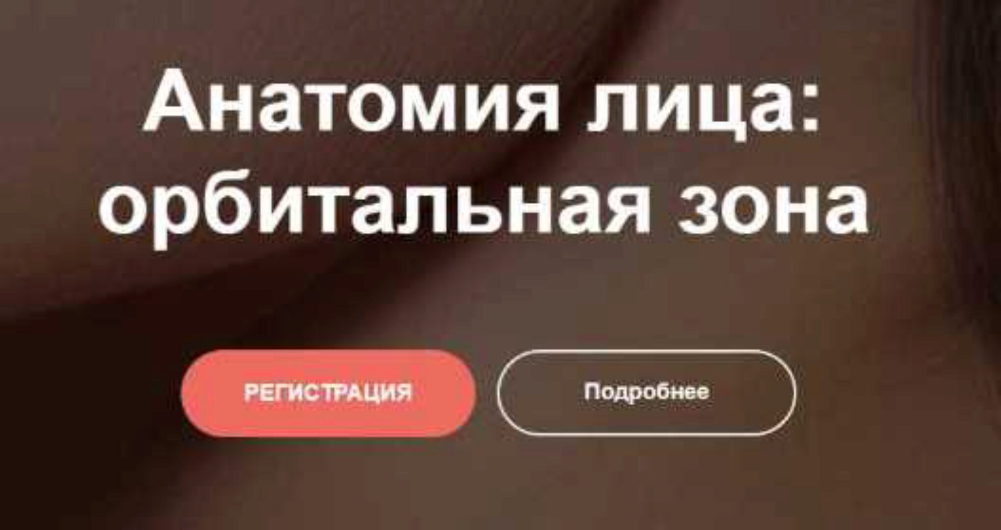 Анатомия лица: орбитальная зона (Ольга Турбина)