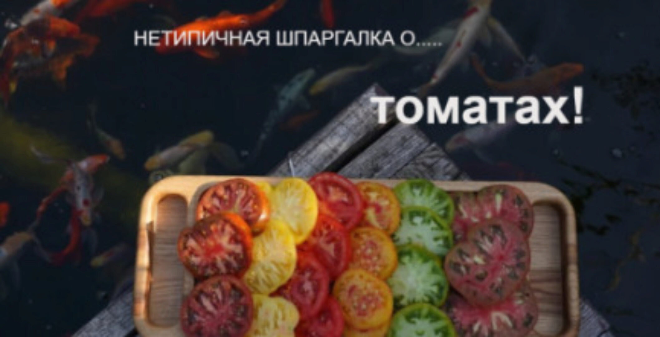 [Нетипичный Фермер] Нетипичная шпаргалка о томатах (Анна Акинина)