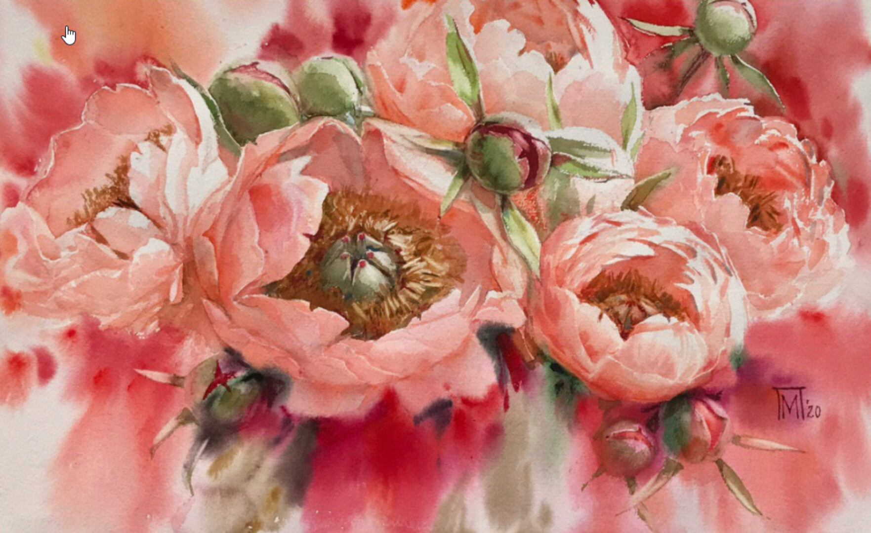 [lectoroom] Пионы акварелью сорт Coral Sharm (Мария Павлова)