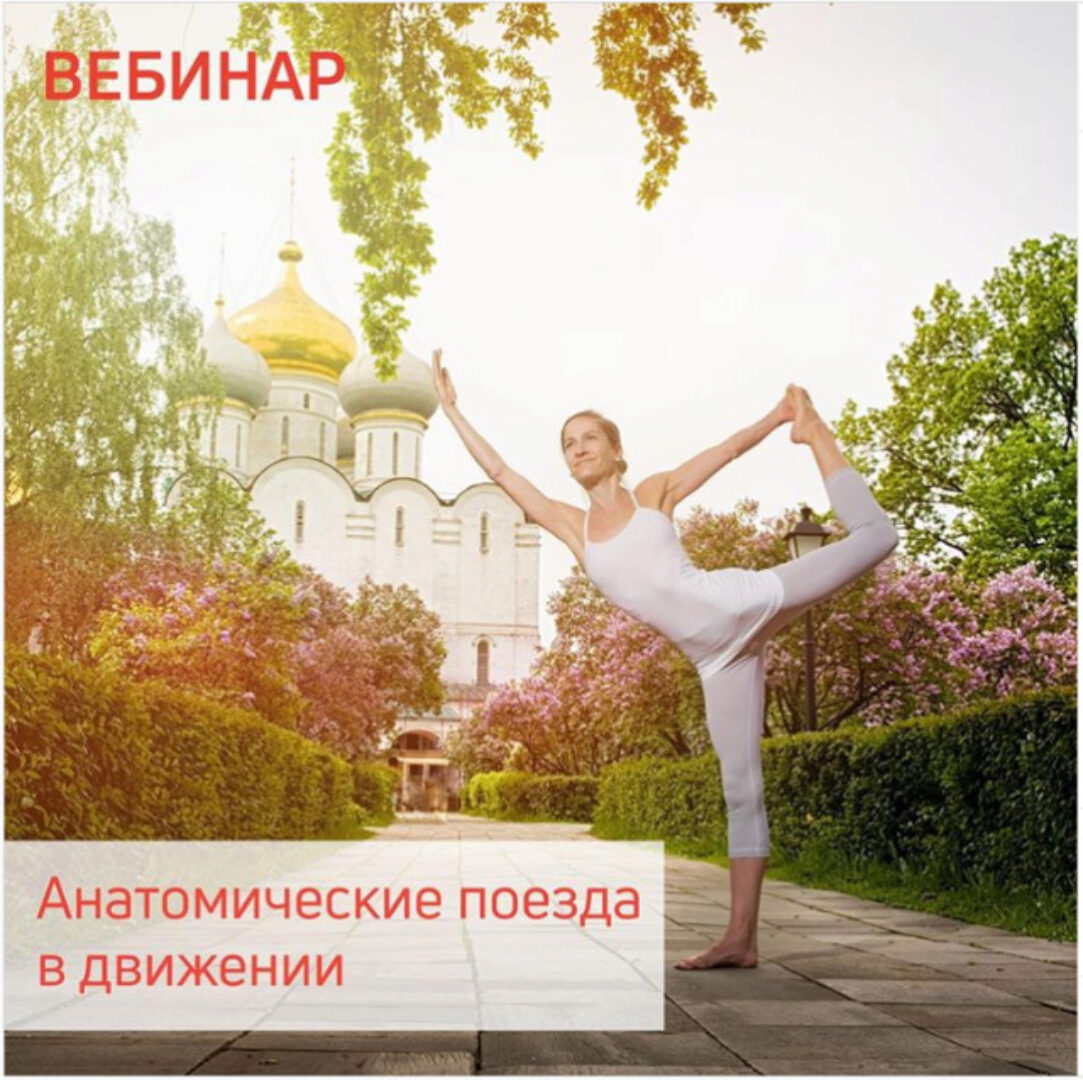 [Центр Практика]  Анатомические поезда в движении (Александра Кибзий,  Анна Селиверстова)