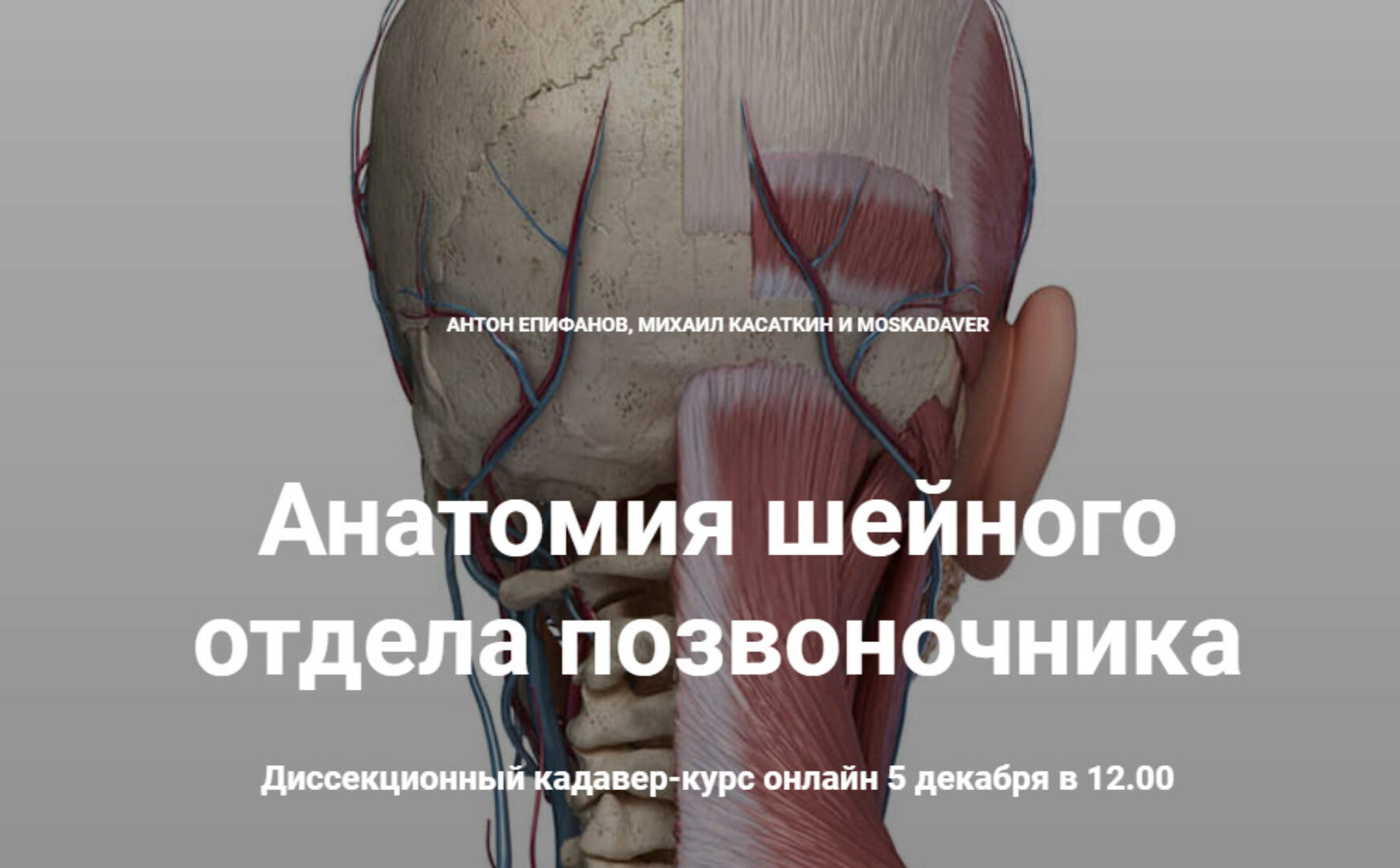 Анатомия шейного отдела позвоночника (Антон Епифанов, Михаил Касаткин)