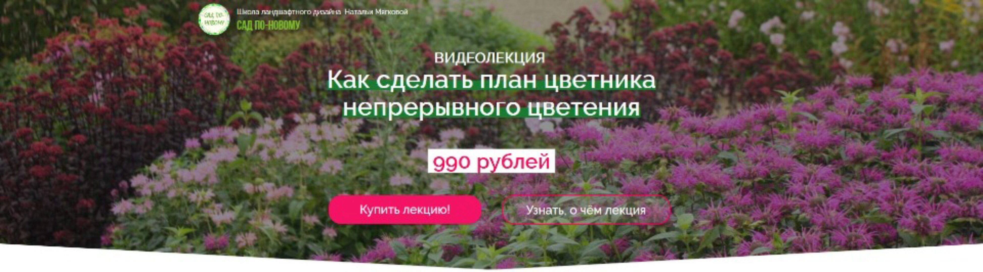 Как сделать план цветника непрерывного цветения (Наталья Мягкова)