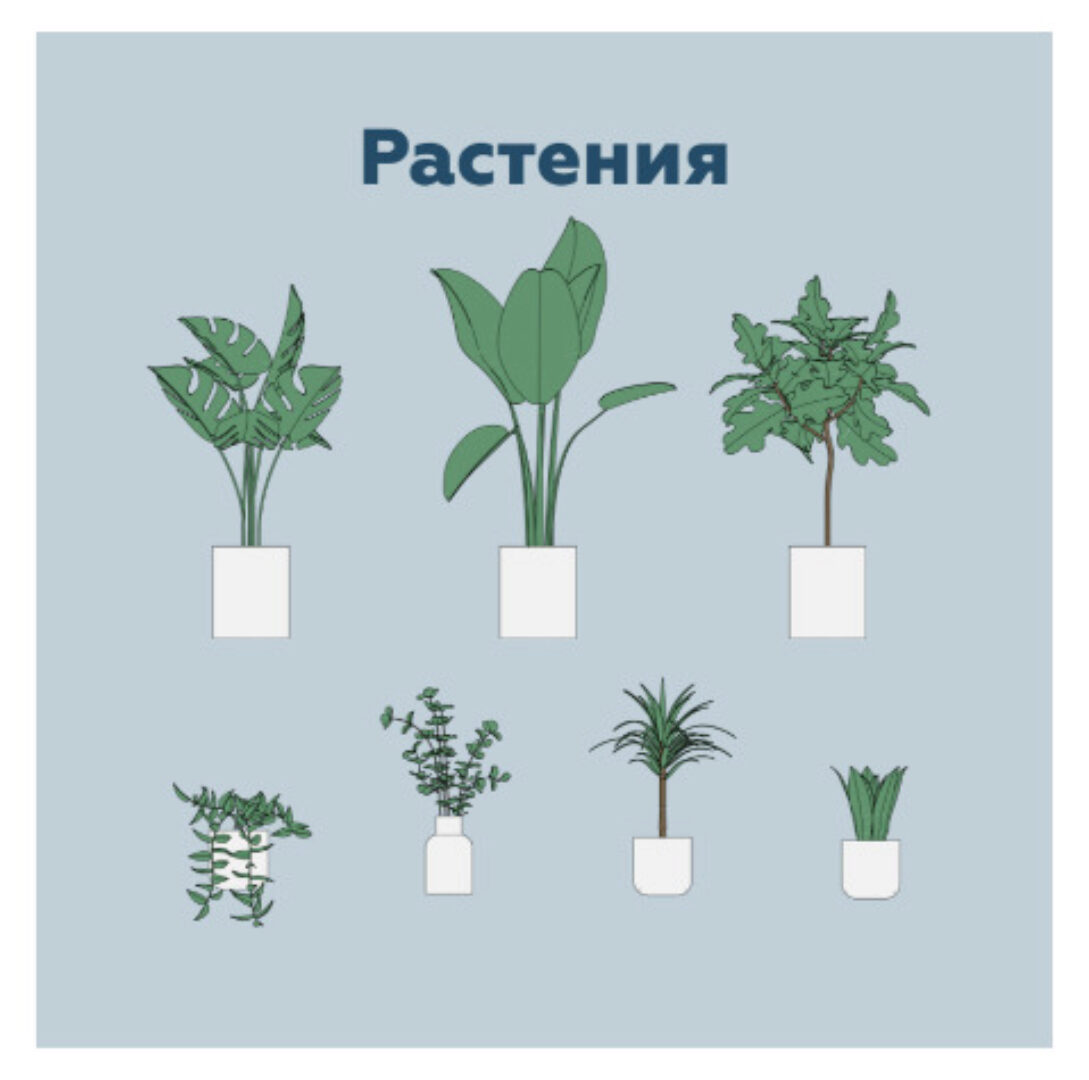 [INT Lines] Растения. Параметрические семейства Revit (Иван Зылёв)