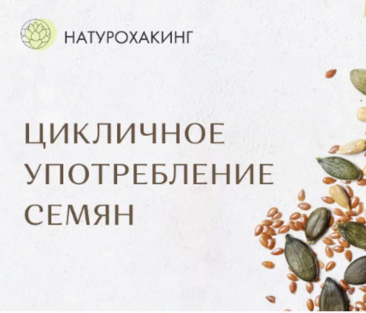 Цикличное употребление семян (Вероника Хуснутдинова)