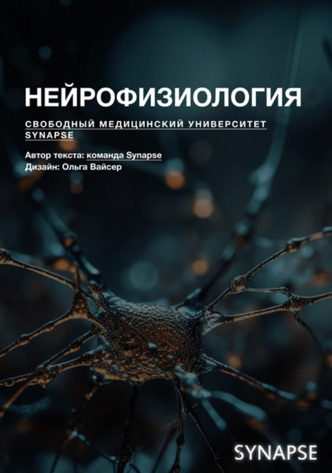 [Synapse] Методичка по нейрофизиологии