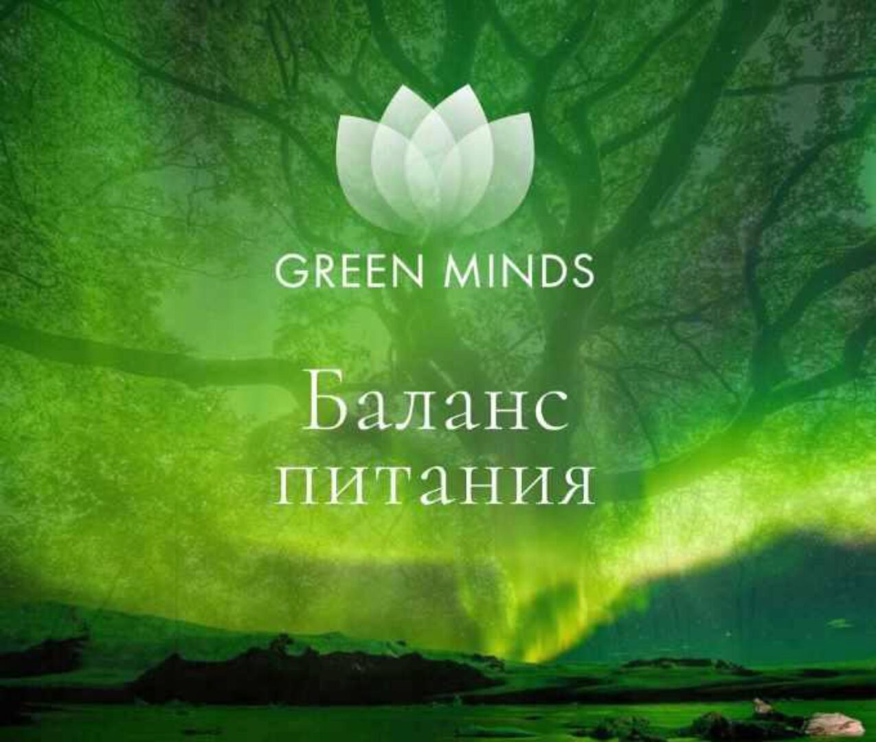 Нейромедитация Green Minds Баланс питания (Алексей Ситников)