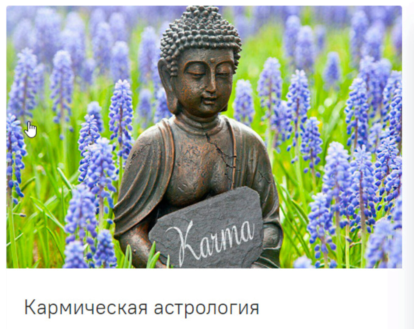 [guru_mangala] Кармическая астрология. Без домашних заданий(Светлана Блантер)