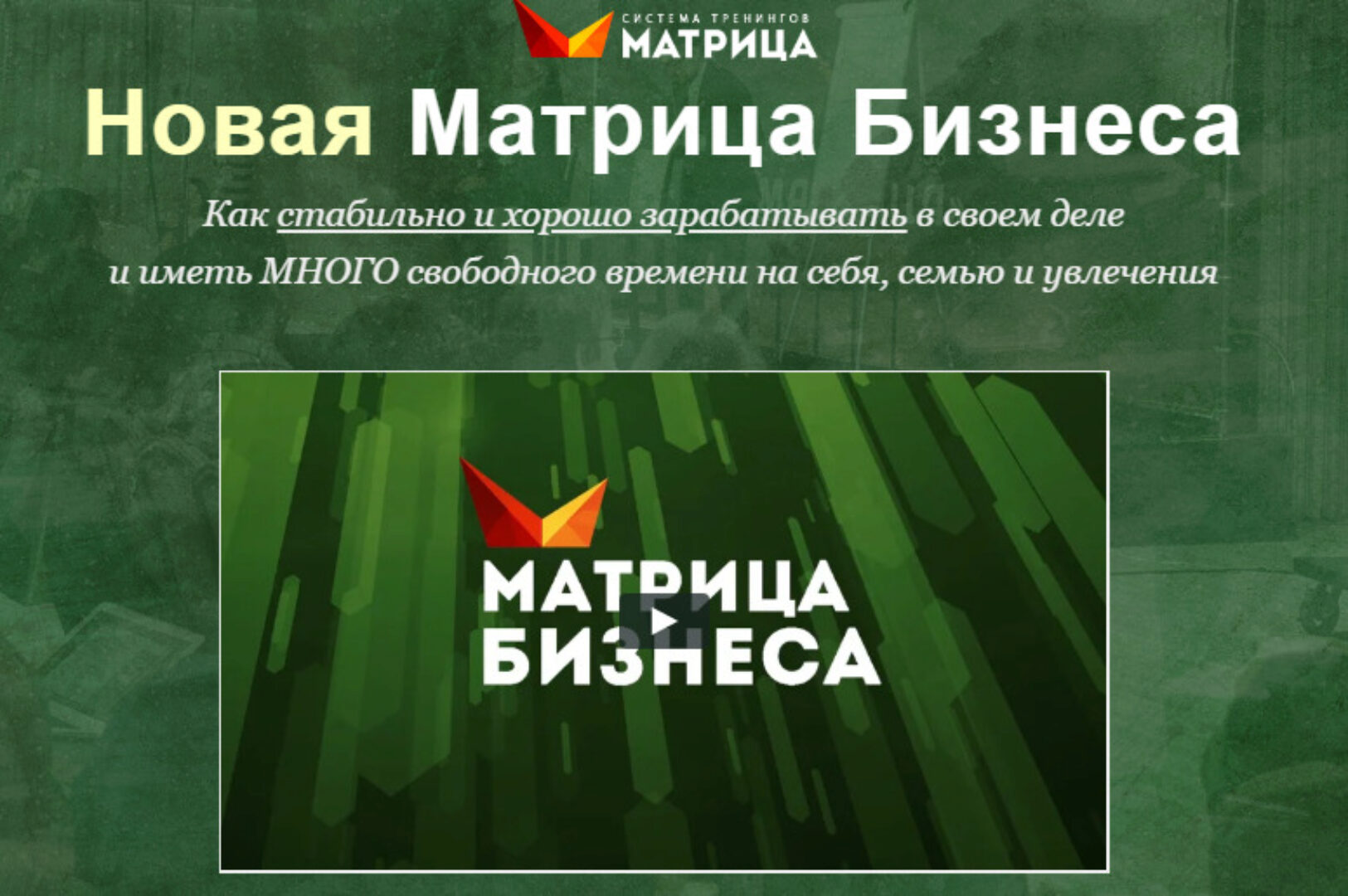 Новая матрица бизнеса — 2020. Пакет-VIP (Дмитрий Богданов, Андрей Клюхин)