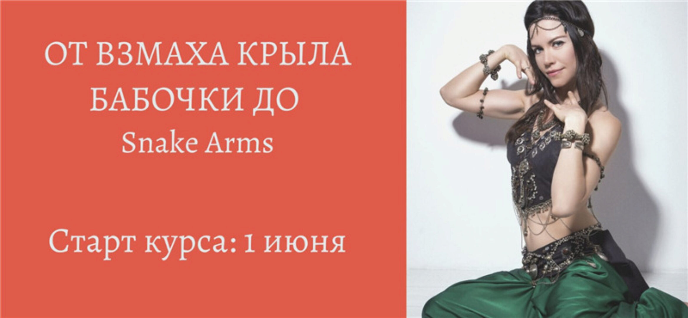 От взмаха крыла бабочки до Snake Arms (Анна Акинцева)