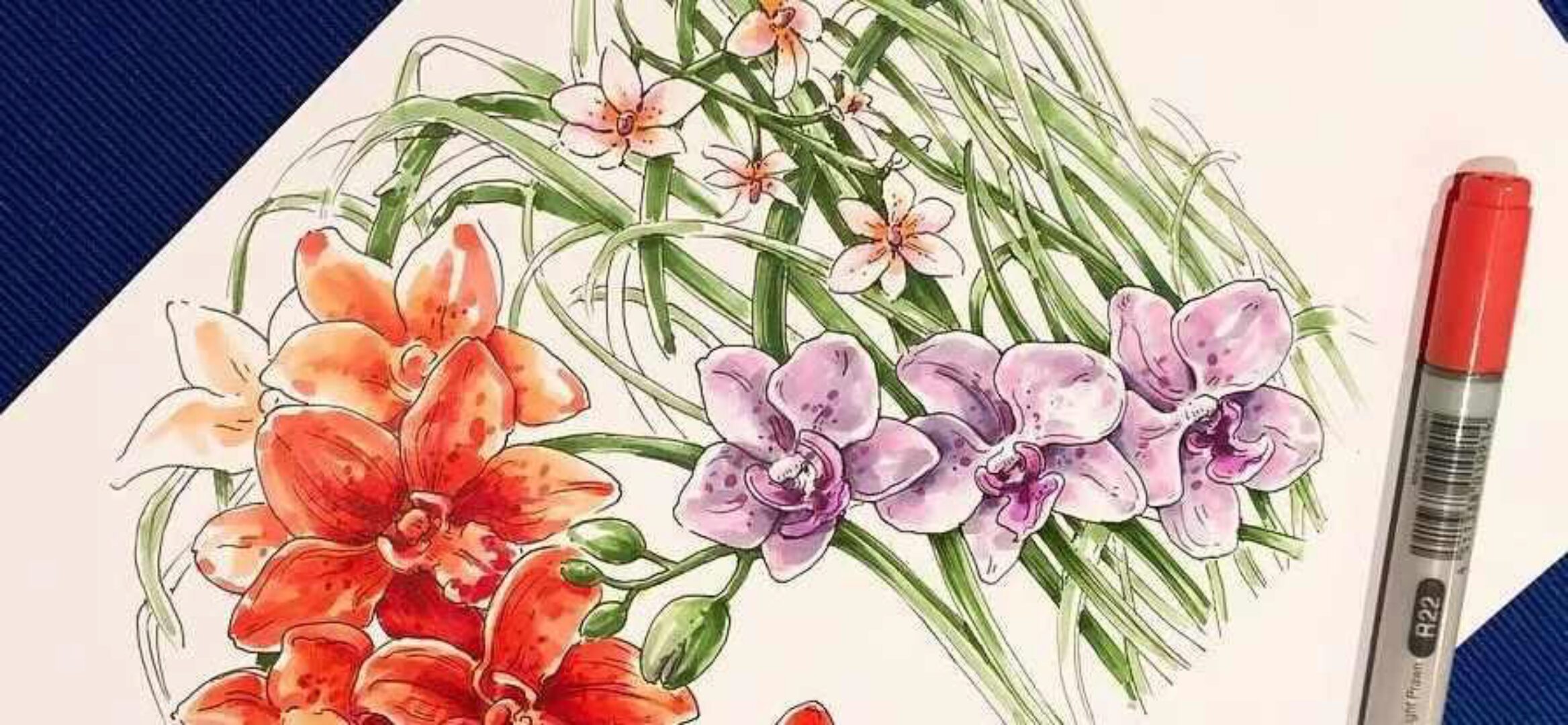 [Рисование] Базовый курс по ботанике. 2017 (Екатерина Иванникова)