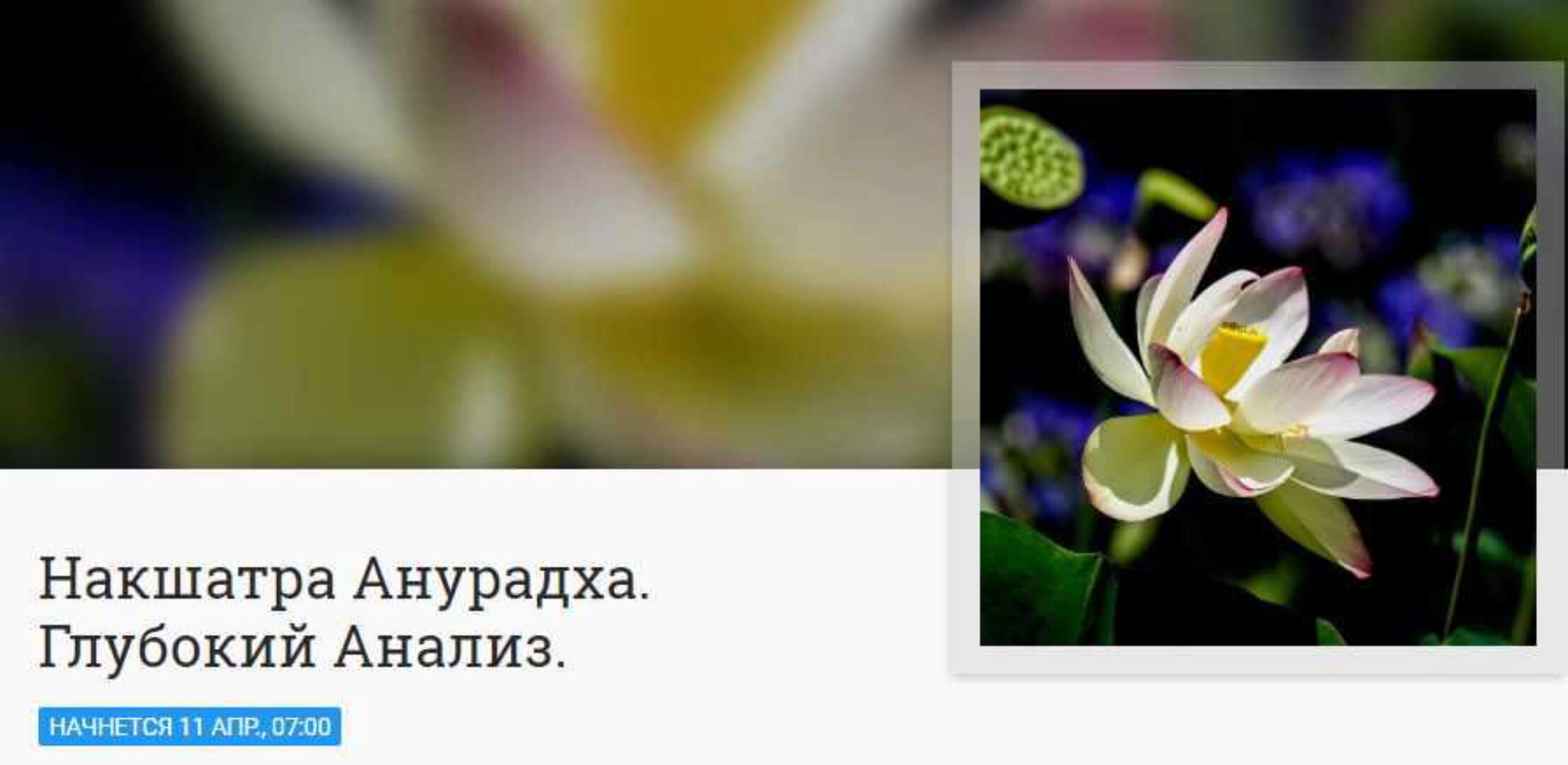 [Митра-Варуна] Накшатра Анурадха. Глубокий Анализ (Анна Ласточкина)