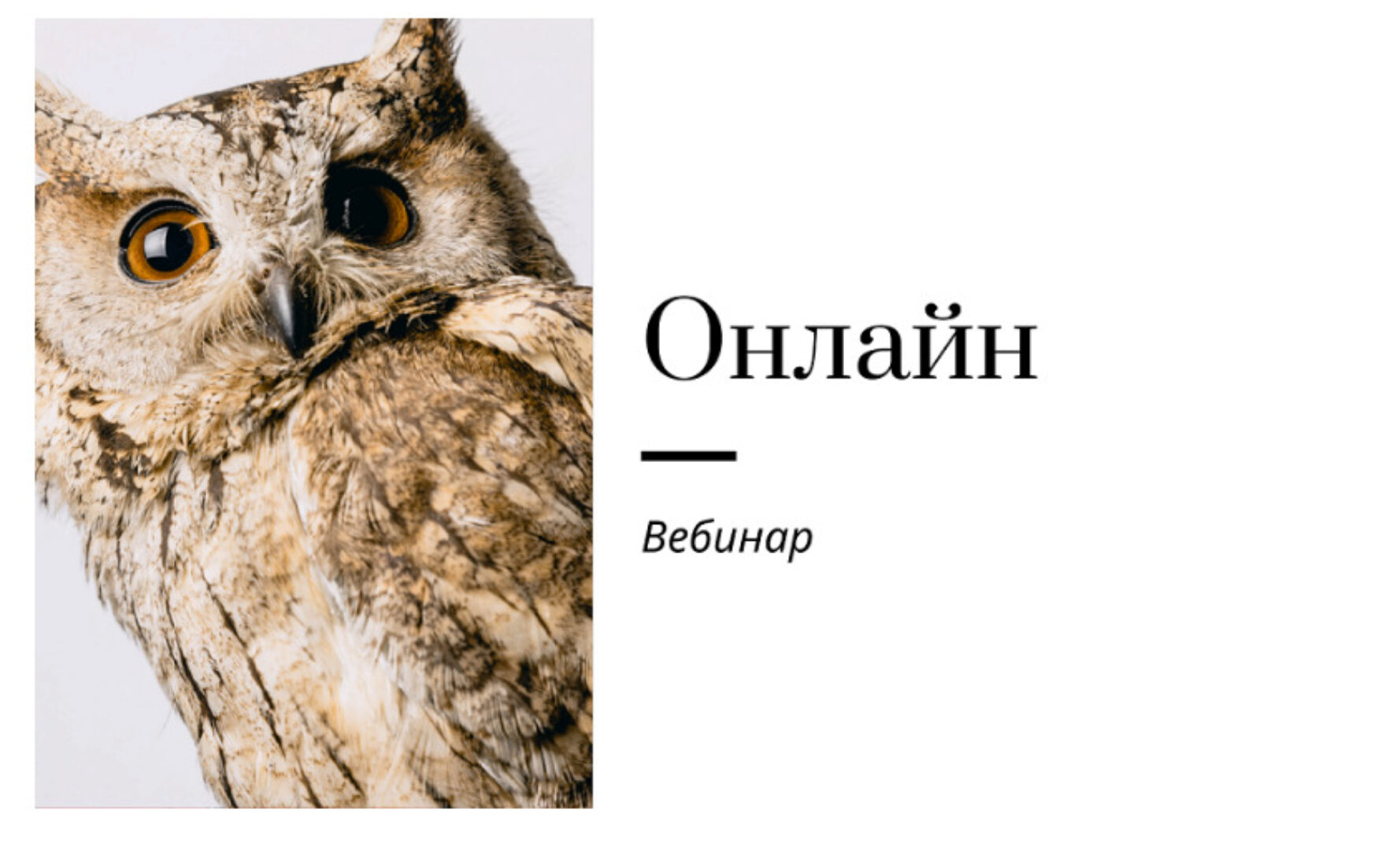 [Записки репетитора] Вебинар по работе онлайн  (Ирина Кузнецова)