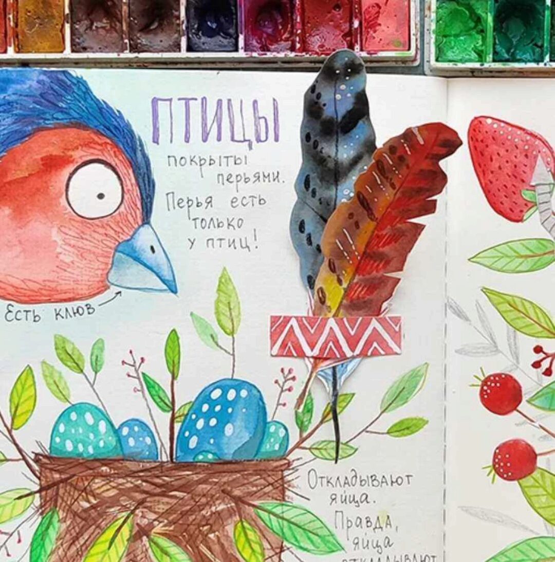 [HurlyBurlySchool] 4 блок годового курса «Окружающий мир» (Оля Сафонова, Даша Сафонова)