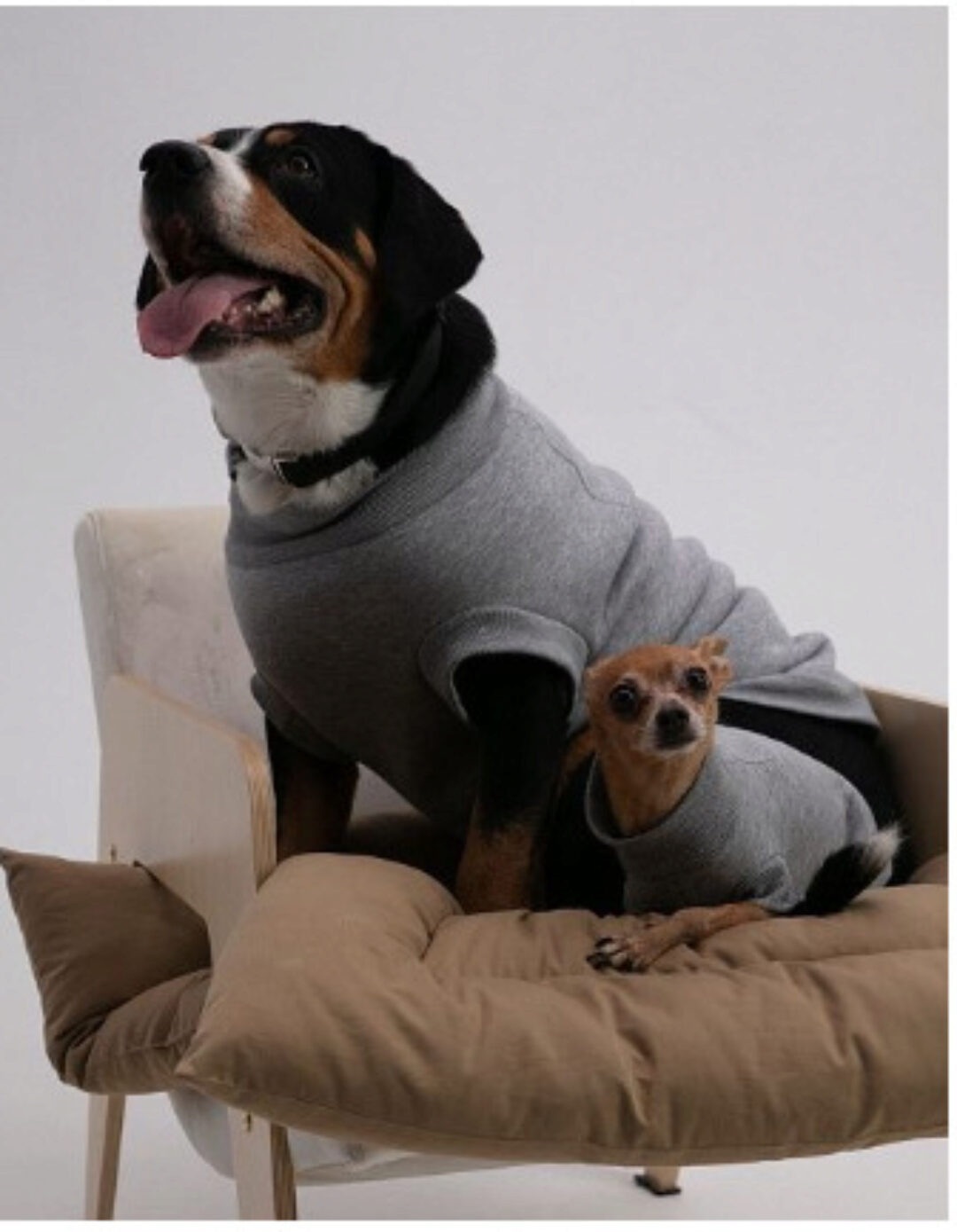 [Grasser] Свитер для собак. Выкройка №988. Размеры XS-L. Длина 2