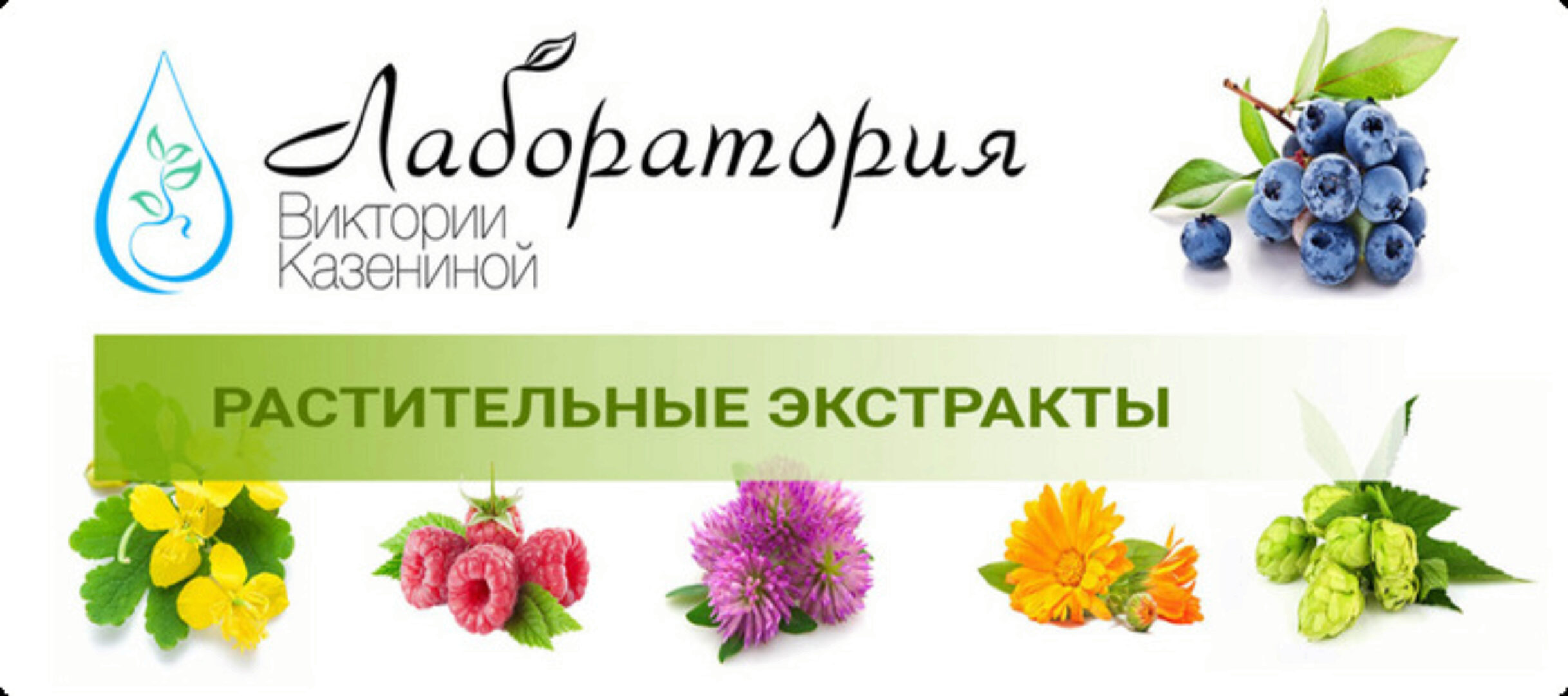 Курс по экстрагированию (Виктория Казенина)