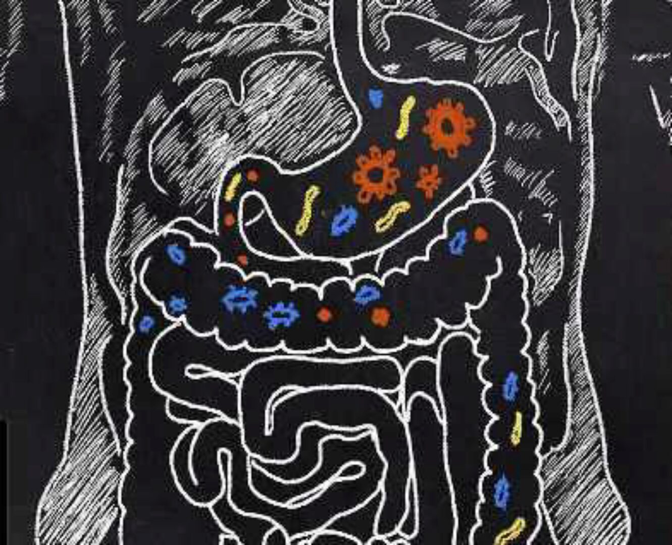 [Первая школа биохакинга] Гайд Помощь при запорах (Ирина Баранова, Татьяна Смольянинова)