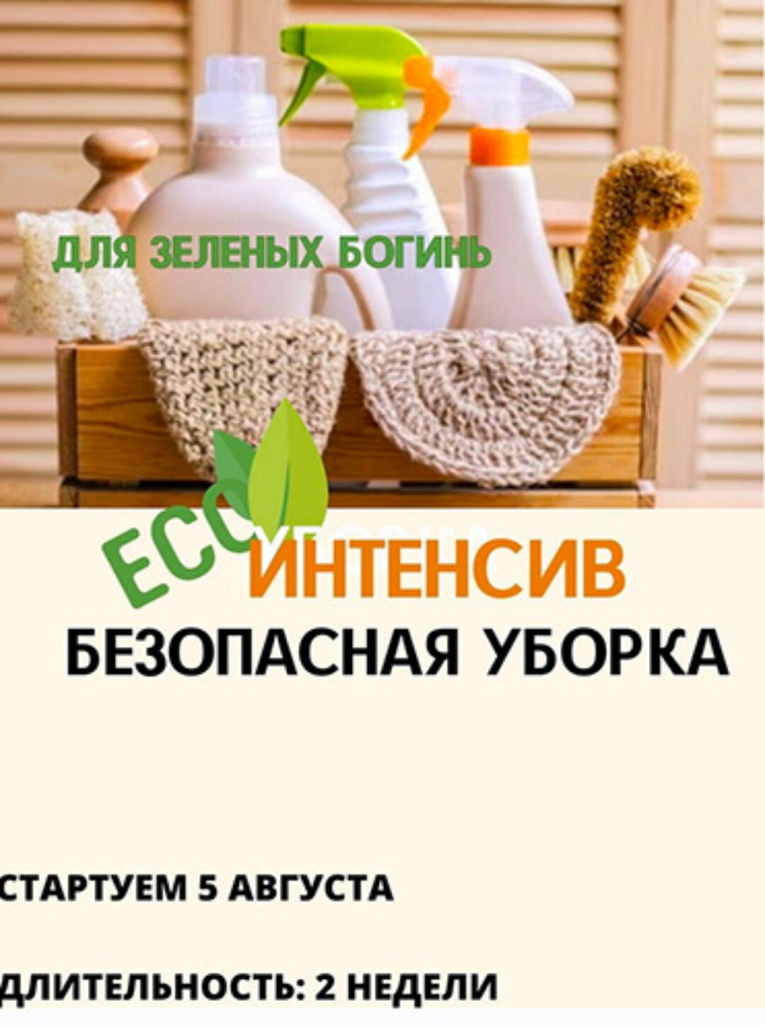 Безопасная уборка (Екатерина Кудерцева)