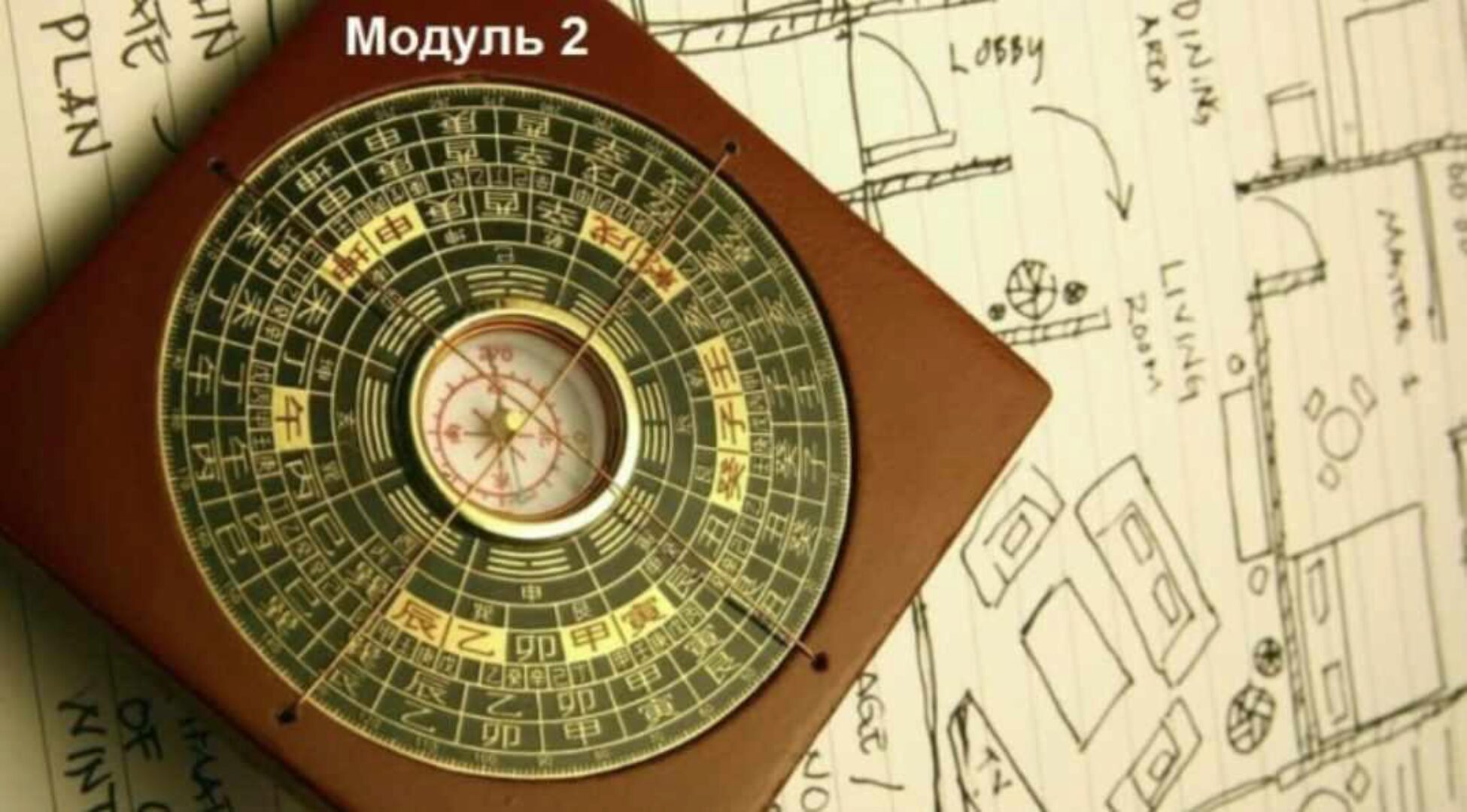Цзы Вэй Доу Шу, 2 модуль (Елена Гимбицкая)