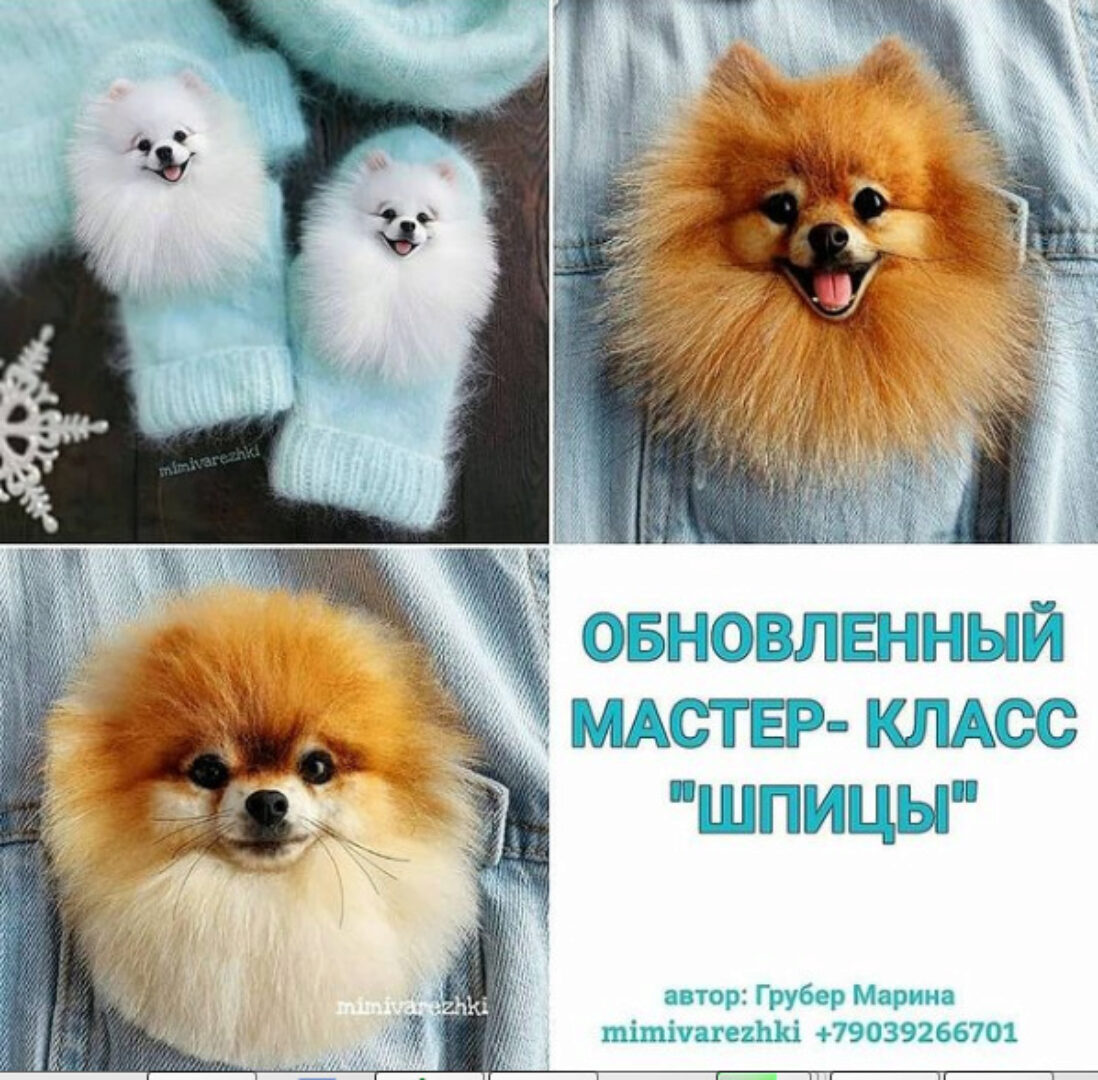 Шпицы Обновленный  (Марина Грубер)