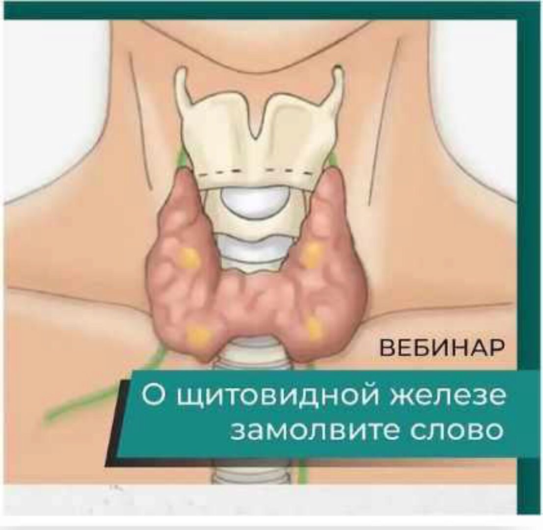 [detoxkafa] О щитовидной железе замолвите слово (Игорь Кауфман)