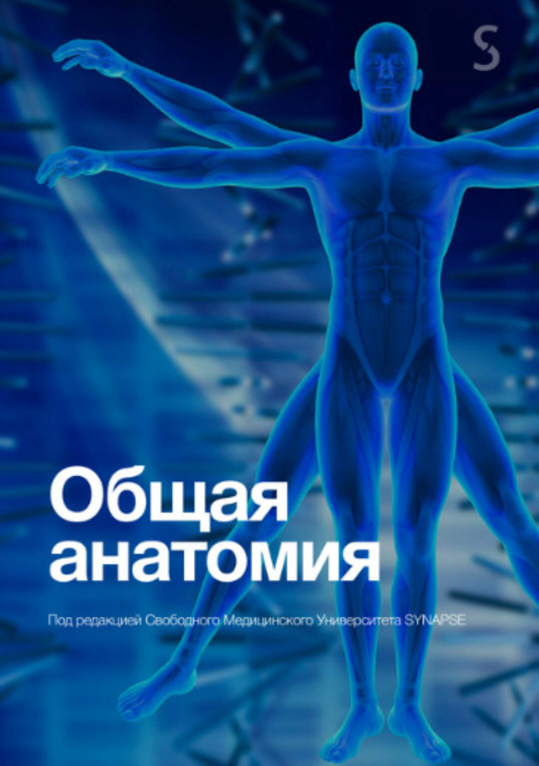 [Synapse] Учебник по анатомии
