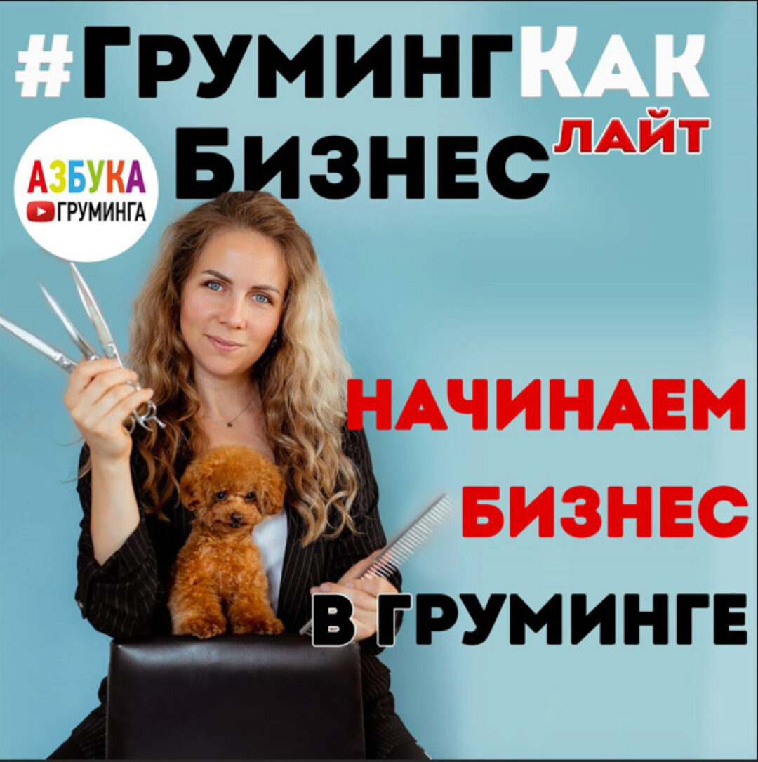 [Азбука Груминга] Груминг как бизнес - ЛАЙТ (Дарья Казимова)