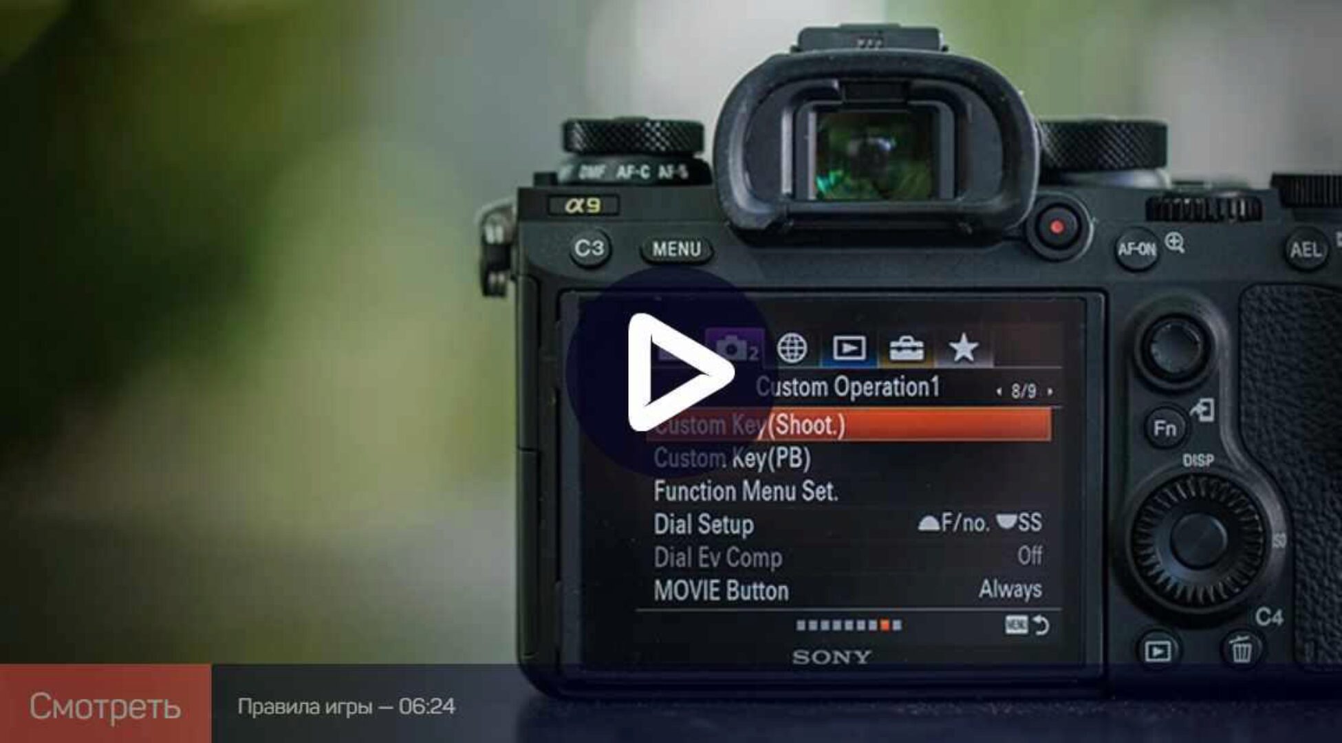 Настройки фотоаппаратов Sony (Антон Мартынов)