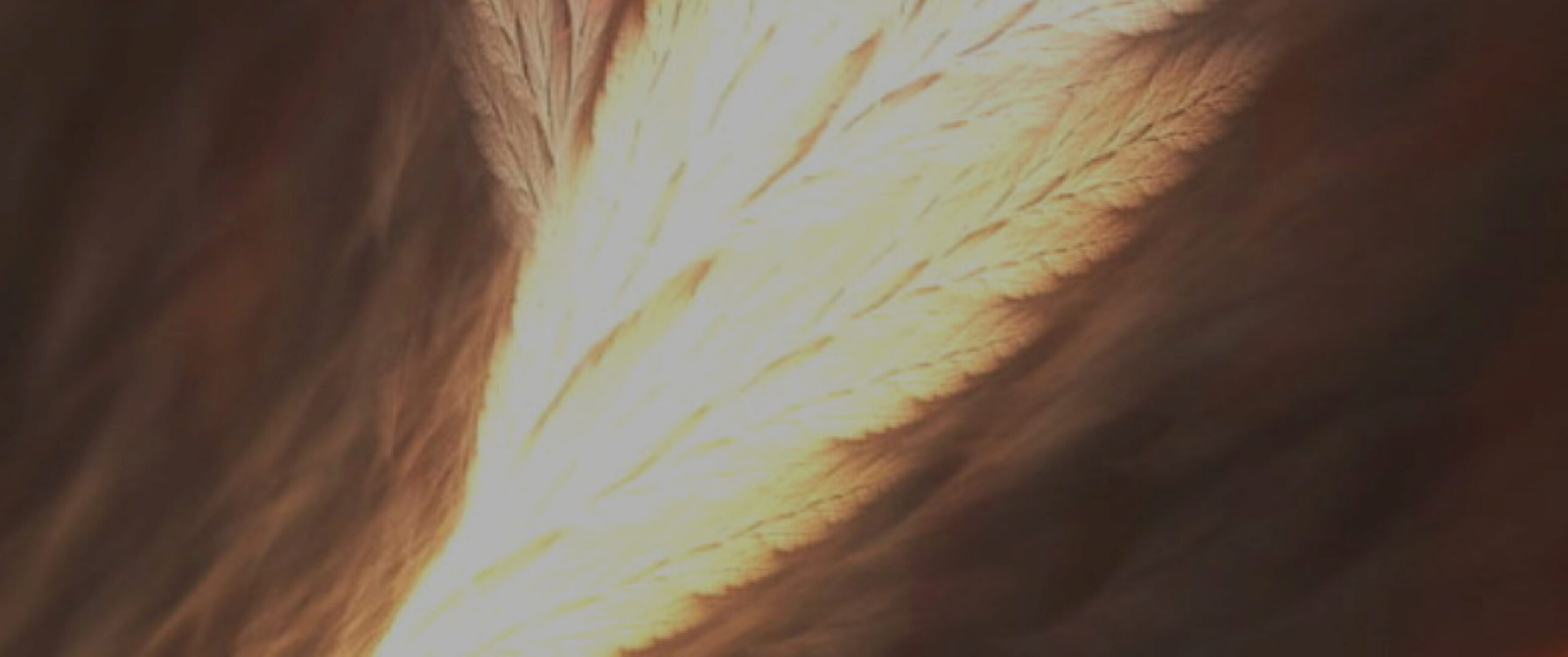 [аудио-гипноз.рф] Аудио-гипноз «Спокойный разум» (Николай Никитенко)