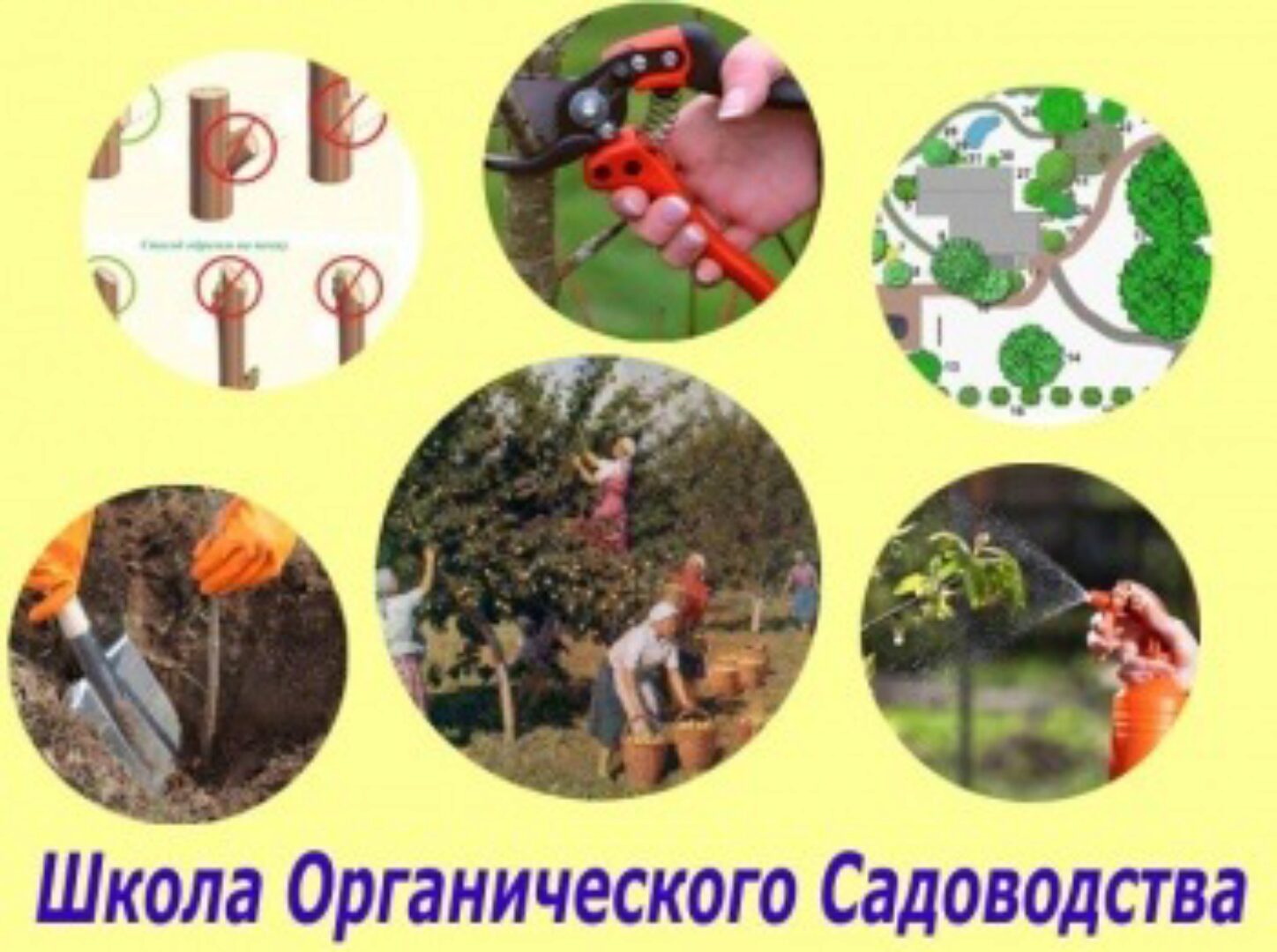 Базовый Курс Органического Садоводства (Виктор Гуржий)