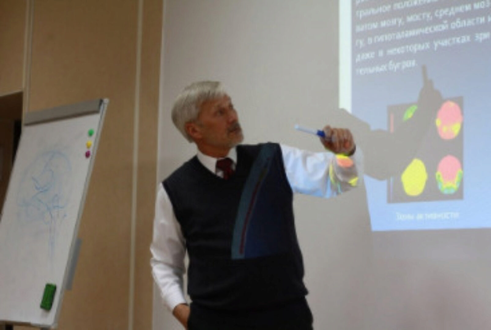 Нейропсихологическая диагностика, коррекция и реабилитация (Александр Бизюк)