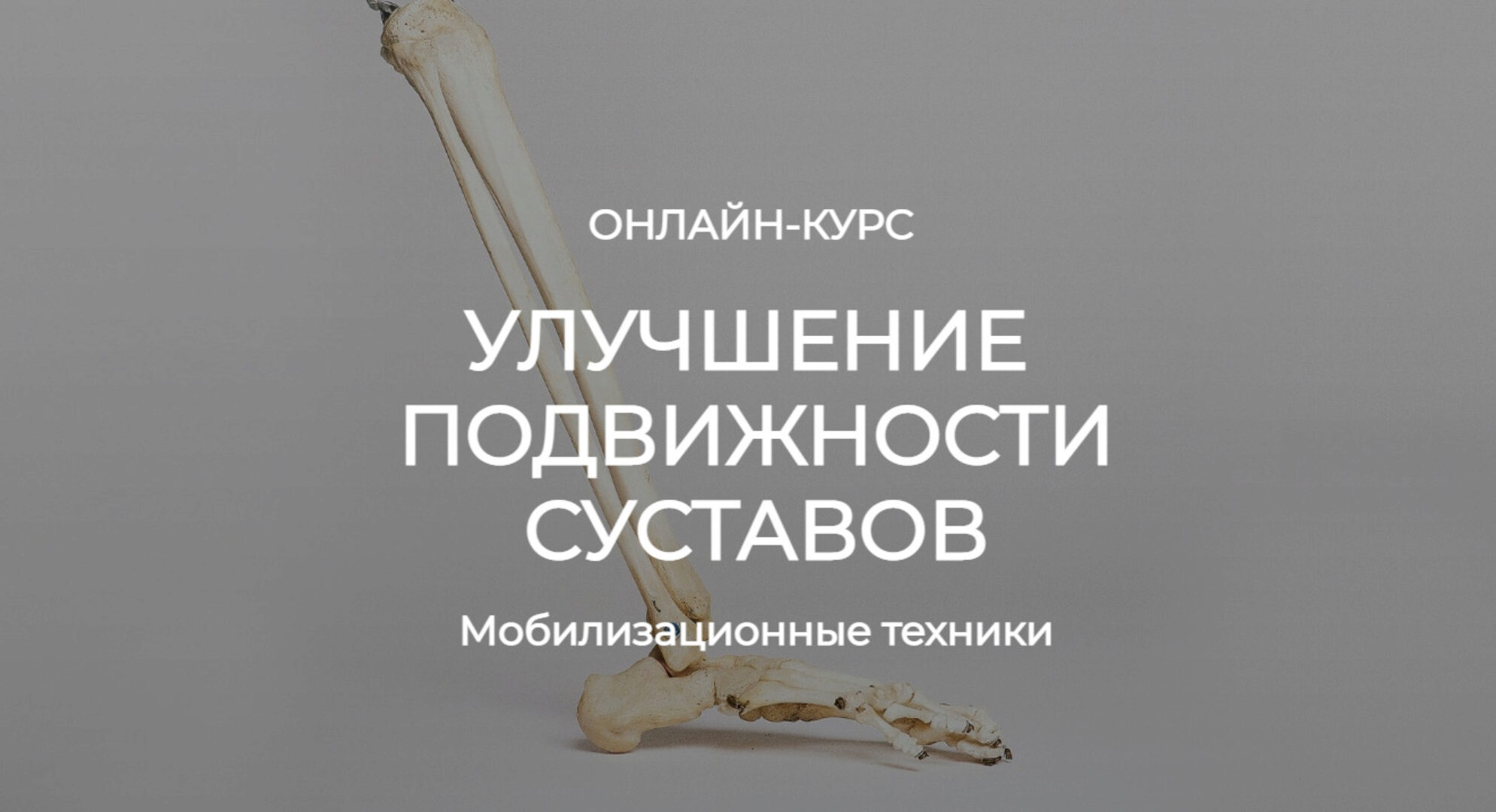Улучшение подвижности суставов. Мобилизационные техники (Андрей Богатырев, Александр Семенов)