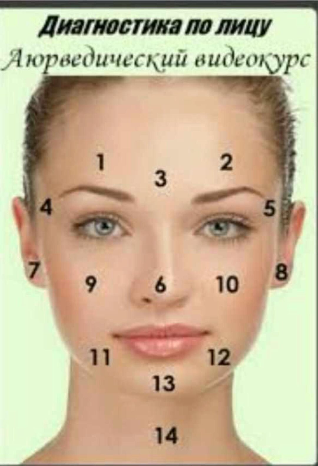 [Vedayu] Диагностика по лицу. Аюрведический видеокурс, 2014 (Александр Дворянчиков)