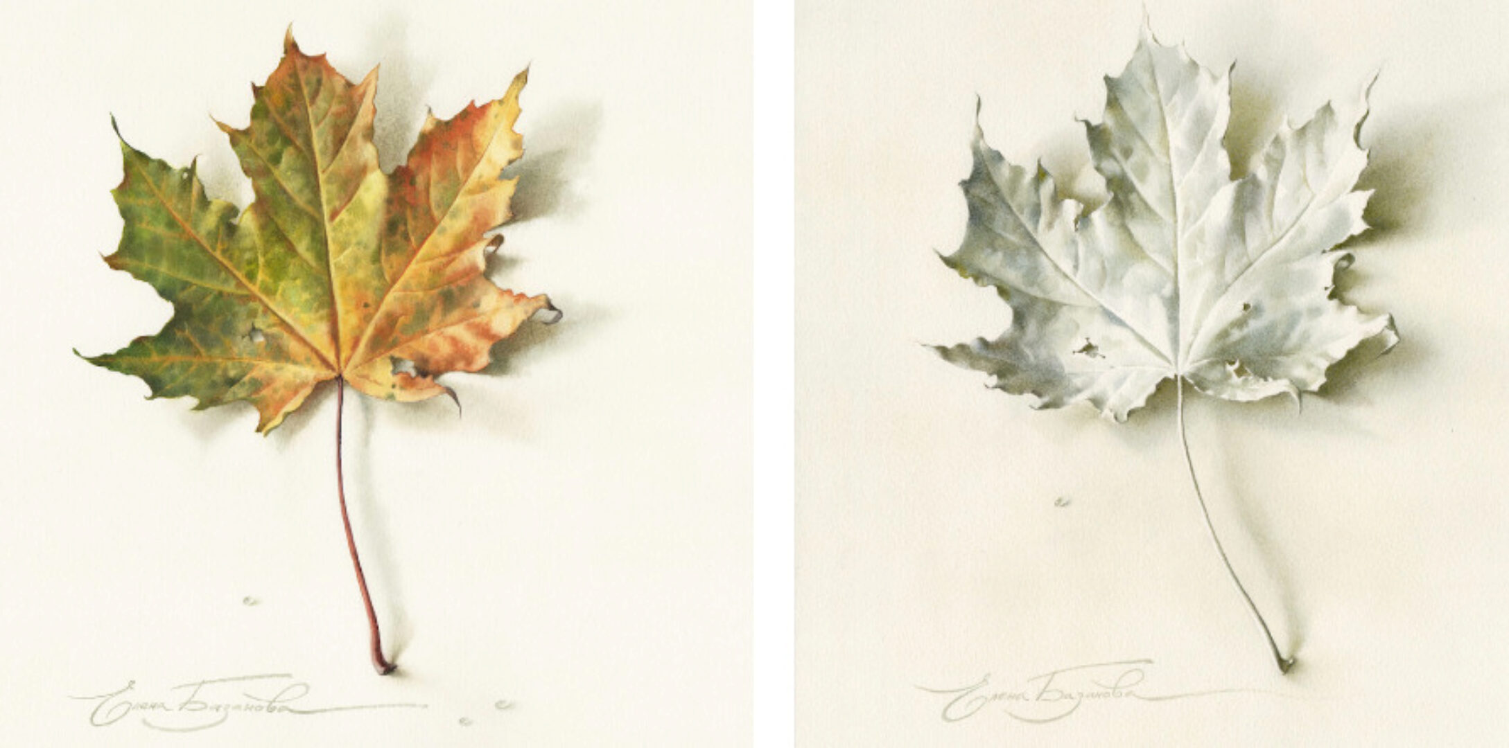 [lectoroom] Рисуем обманки акварелью (Елена Базанова)