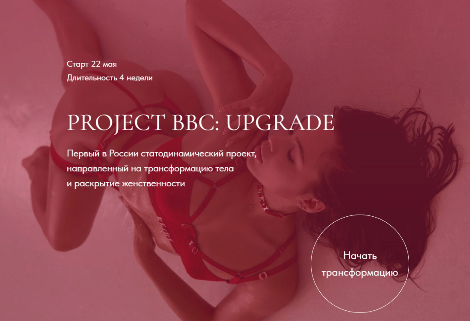 Project BBC: Upgrade. Тариф Bitches (Дарья Муромская)