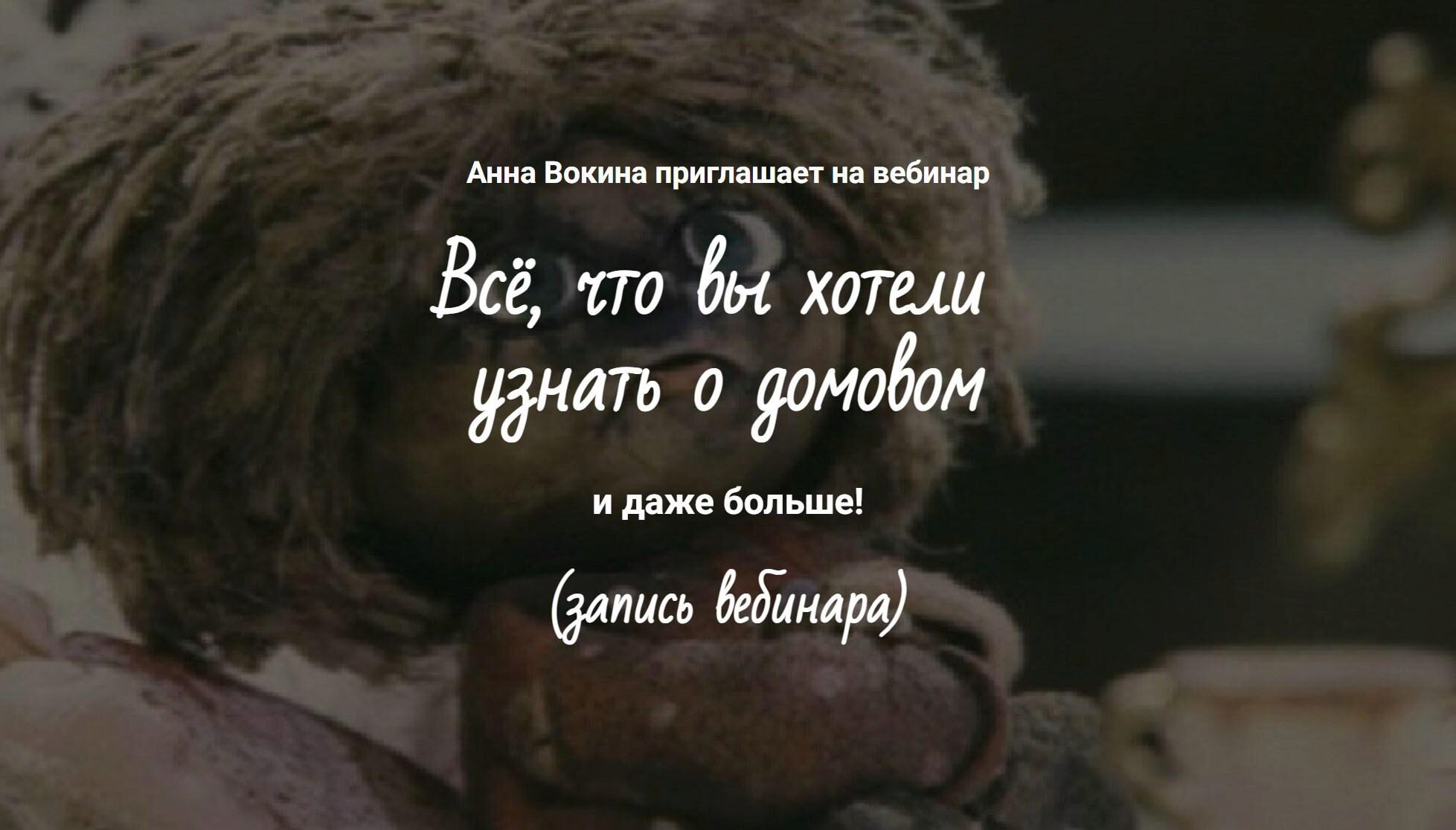 Домовой - что это? (Анна Вокина)