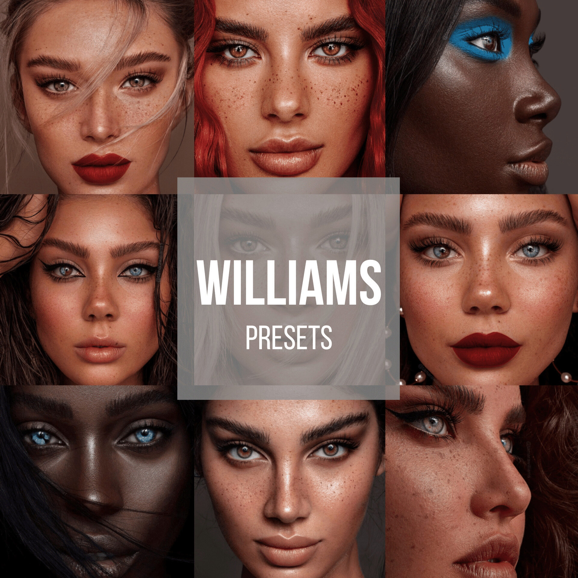 [Williams academy] Lightroom presets (Tamara Williams)