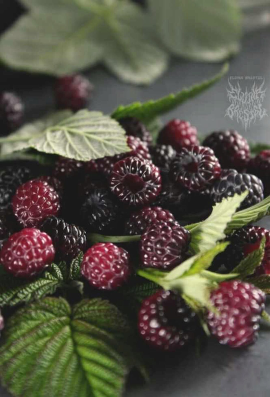 Ягодный. Тариф Я справлюсь - я молодец! (Эльвина Брестель)