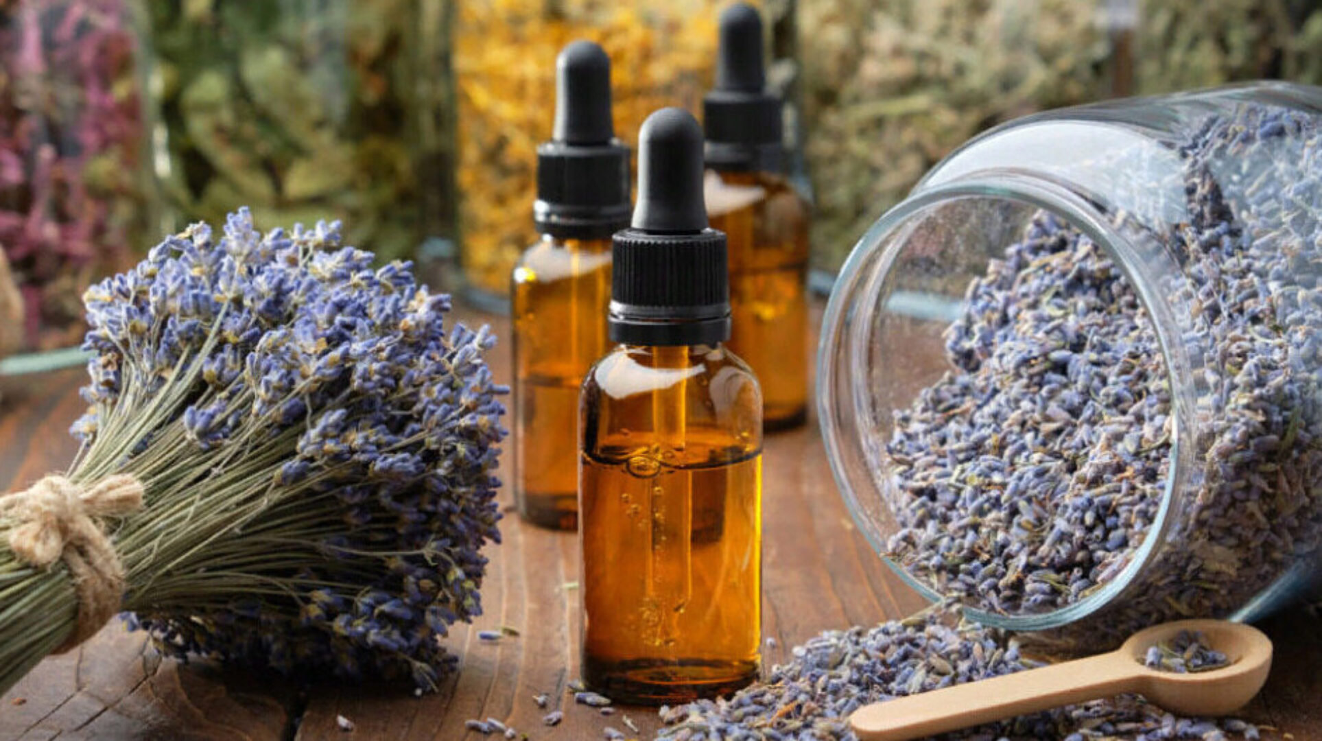 [AHAM] Гидролаты — основы и энергетический подход французской школы (Джоди Эллом)