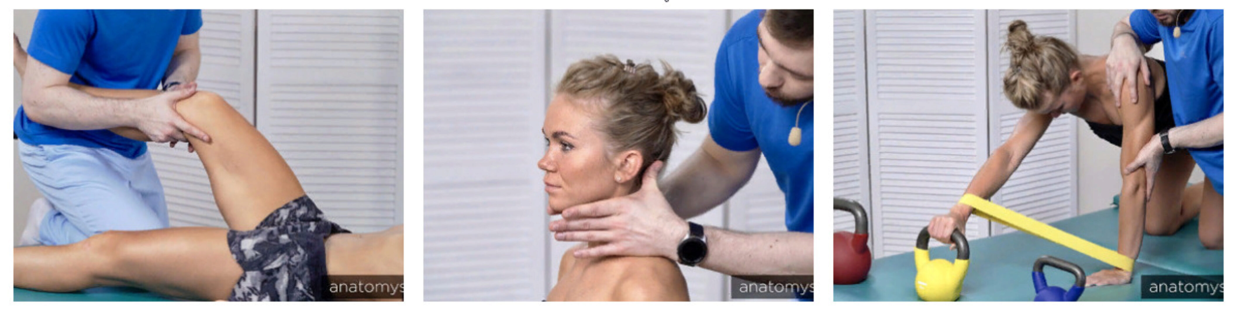 [Анатомия] Терапевтические упражнения  (Андрей Богатырев)