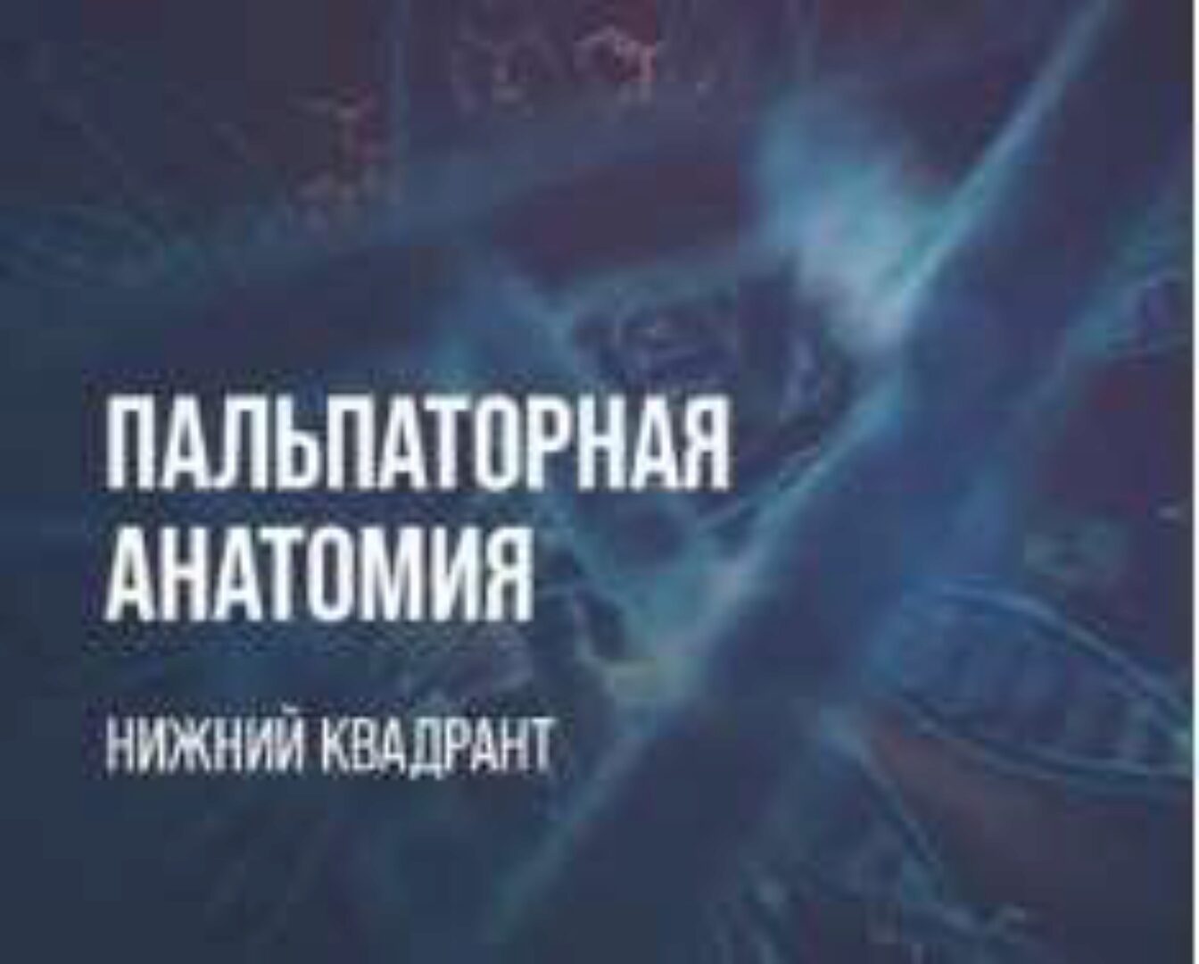 [KinesioPro] Пальпаторная анатомия. Нижний квадрант (Валентина Юдакова)