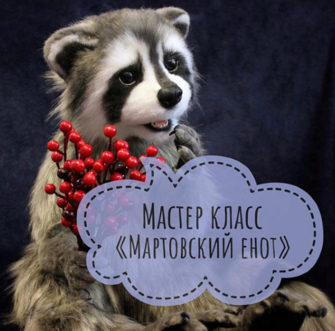 Мартовский Енот (Ирина Соболева)