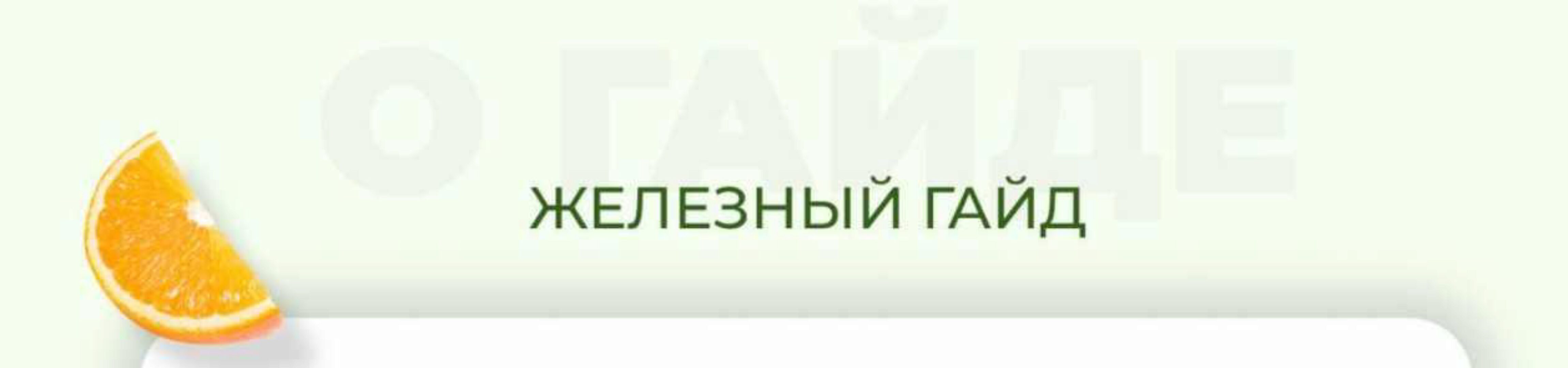 Железный гайд (Софья Литошенко)