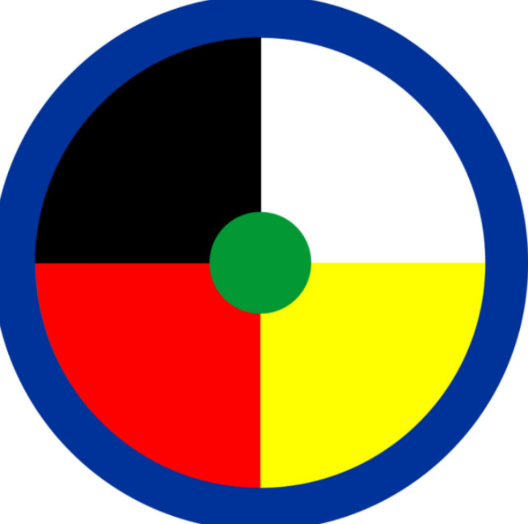 Годовой шаманский курс (Елена Веселаго)